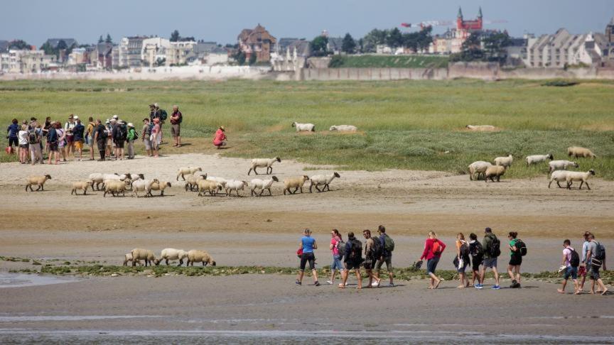 Les Arts - Cocon Romantique En Baie De Somme Boismont  외부 사진